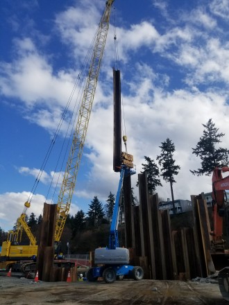 IMCO crews on the Mukilteo Multimodal Terminal Project install sheet piles using a vibratory hammer attached to a crane, which vibrates each pile into the ground. IMCO crews on the Mukilteo Multimodal Terminal Project installing sheet piles for future deep water storm utilities
