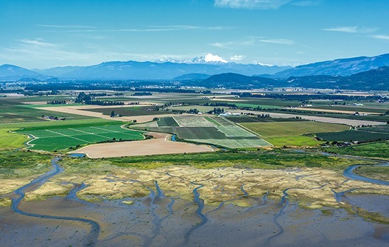 Fir Island Farm Estuary Restoration Project by IMCO General Construction