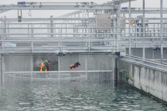 IMCO General Construction at Priest Rapids Fish Hatchery 