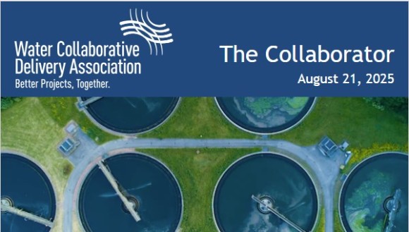 The Collaborator