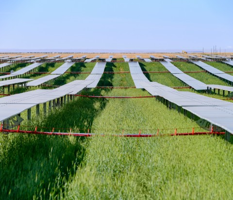 solar panels energy storage lined on top of green grass